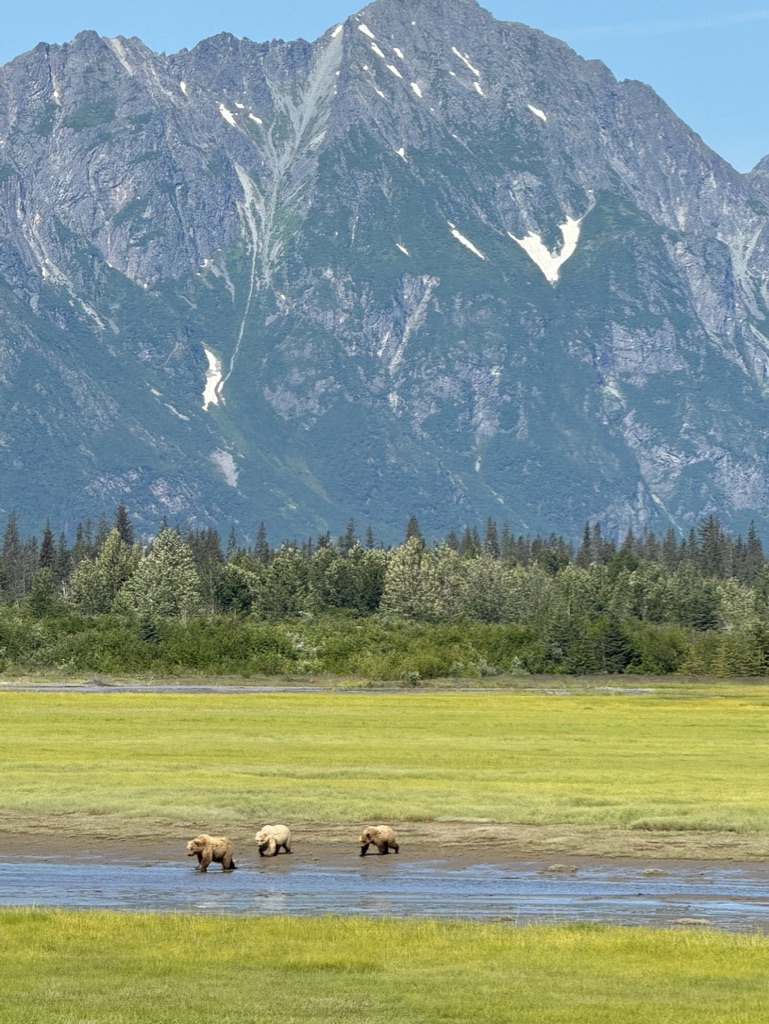 Idatarod Air tour